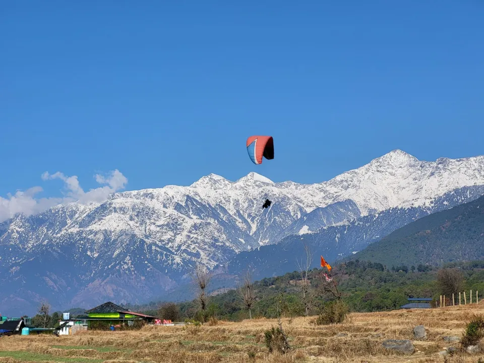 Paragliding in Bir Billing & Solang
